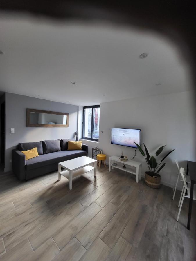 Appartement Entierement Renove A Neuf 101 Saint-Etienne  Extérieur photo